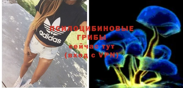Альфа ПВП Аркадак