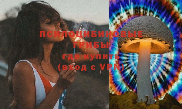 Альфа ПВП Аркадак
