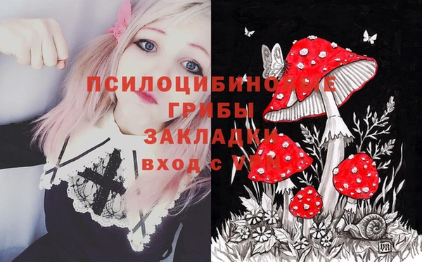 Альфа ПВП Аркадак