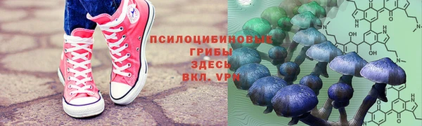 прущая мука Армянск